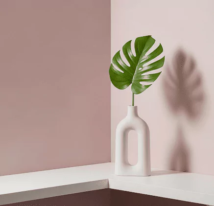 Home Interior